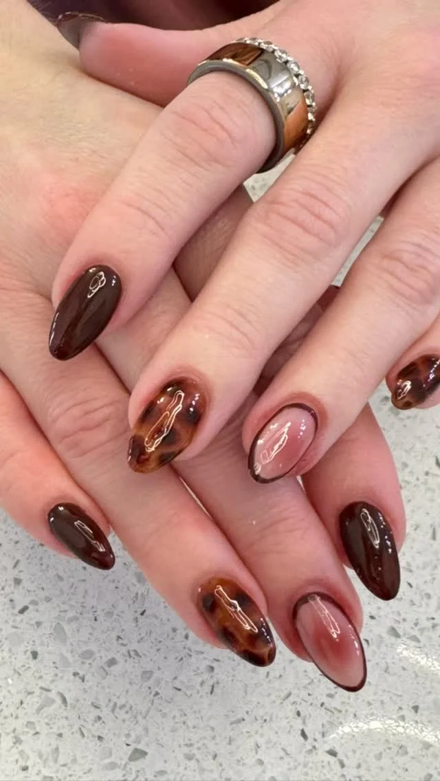 Tortoise Brown